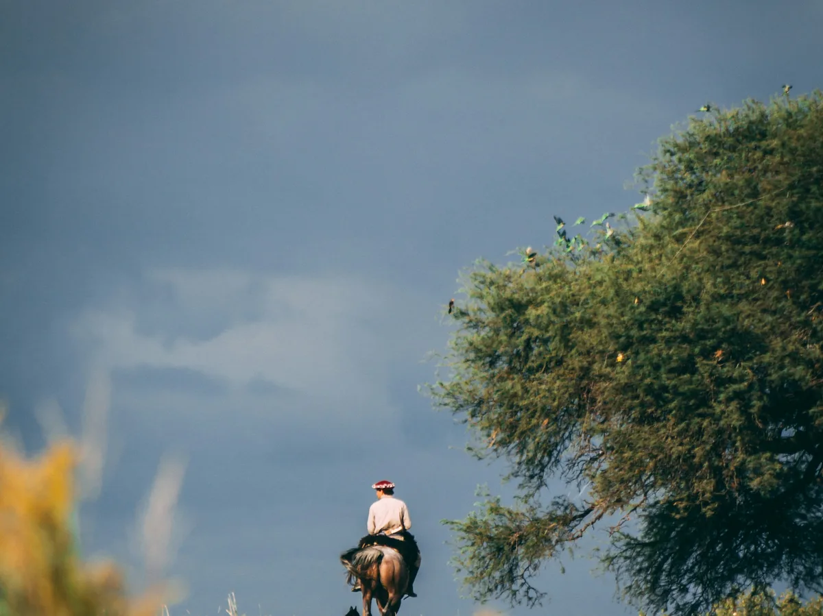 A gaucho riding across the open grasslands of the Argentine Pampas