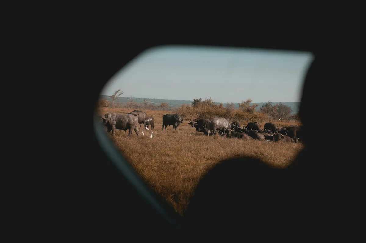Akagera National Park