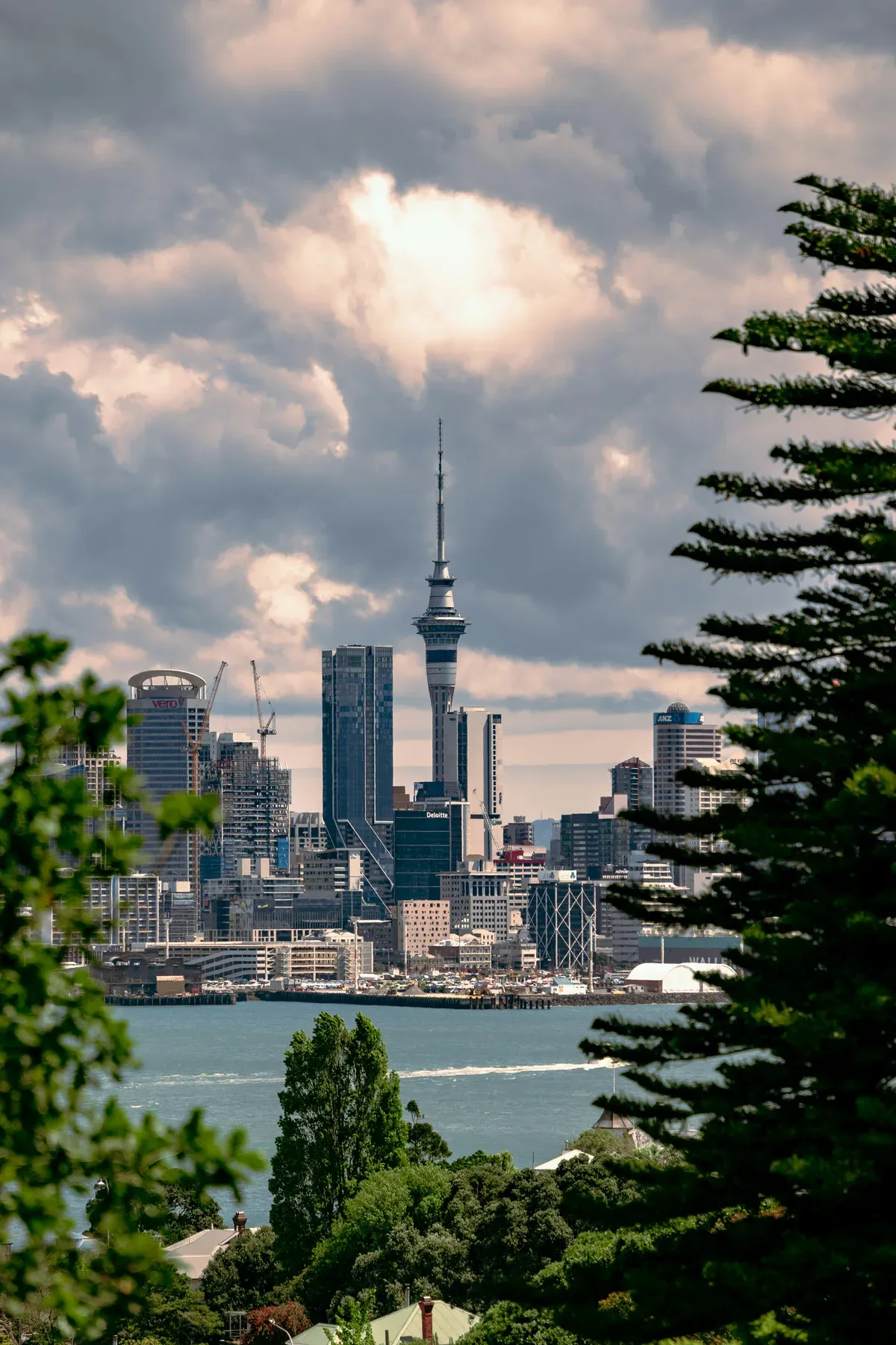 Auckland & the Sky Tower