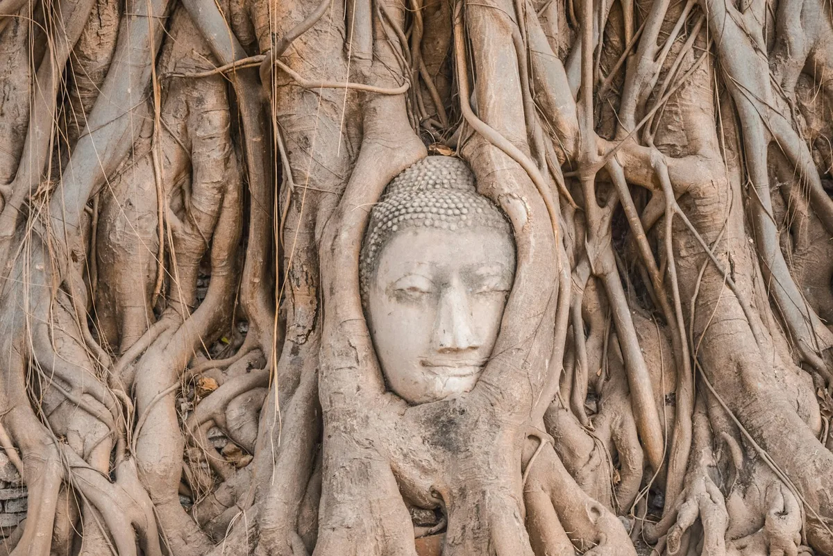Ayutthaya Historical Park