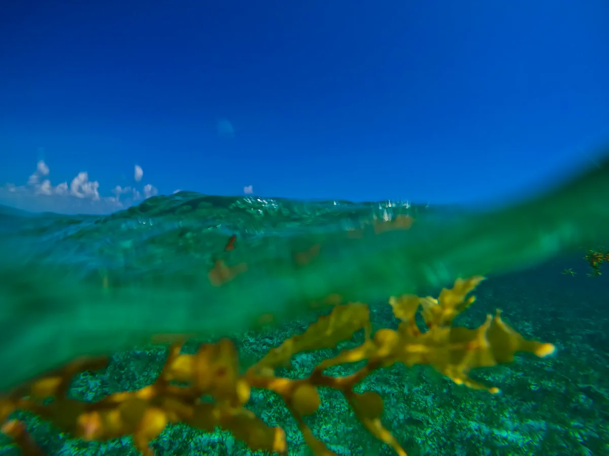 Belize Barrier Reef