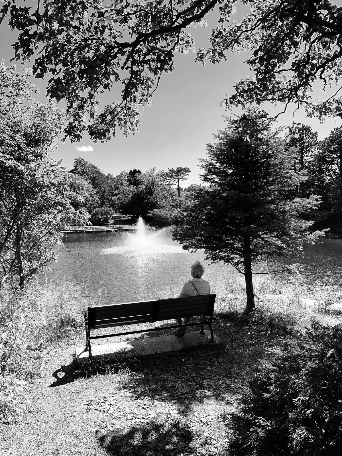 Bowring Park