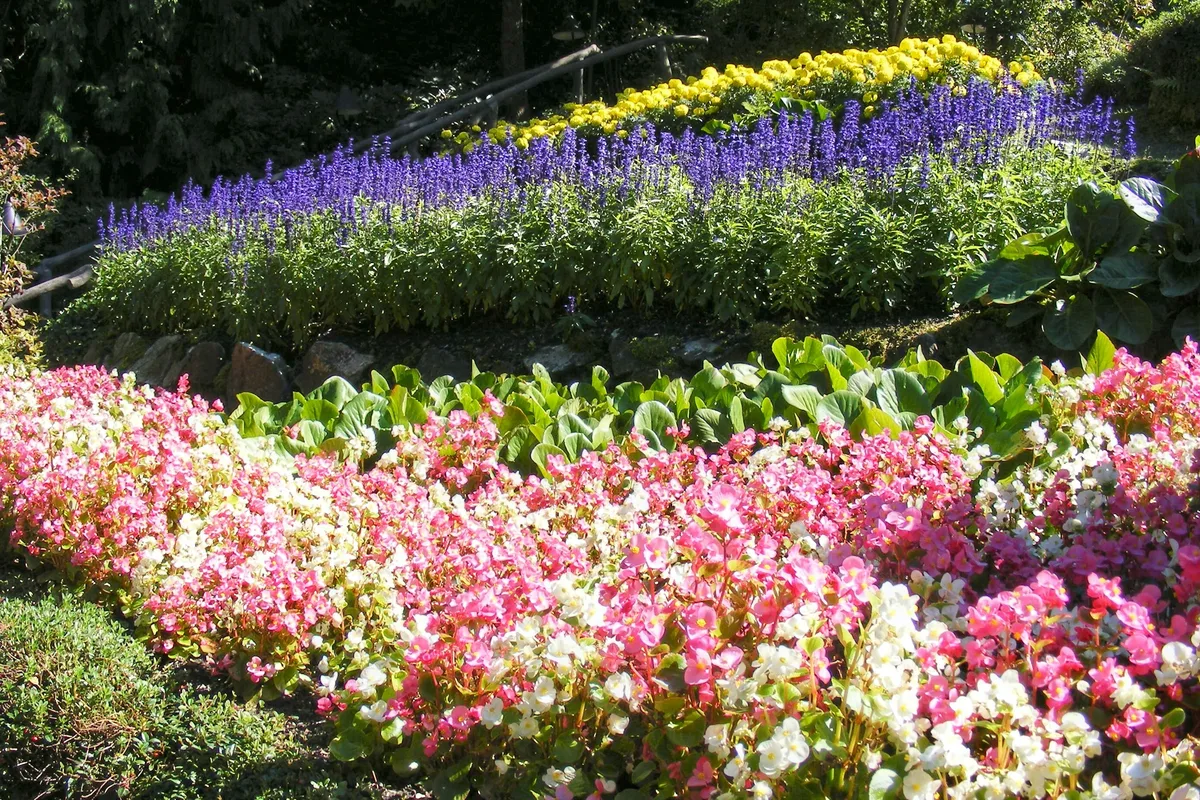 The Butchart Gardens