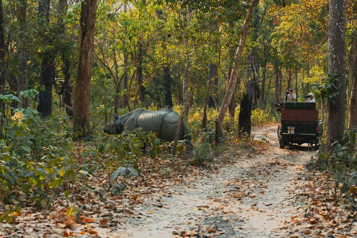 Chitwan National Park