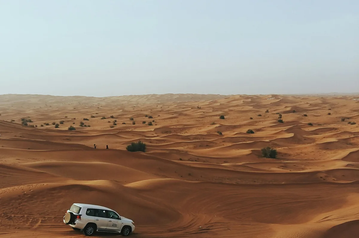 Dubai Desert Conservation Reserve