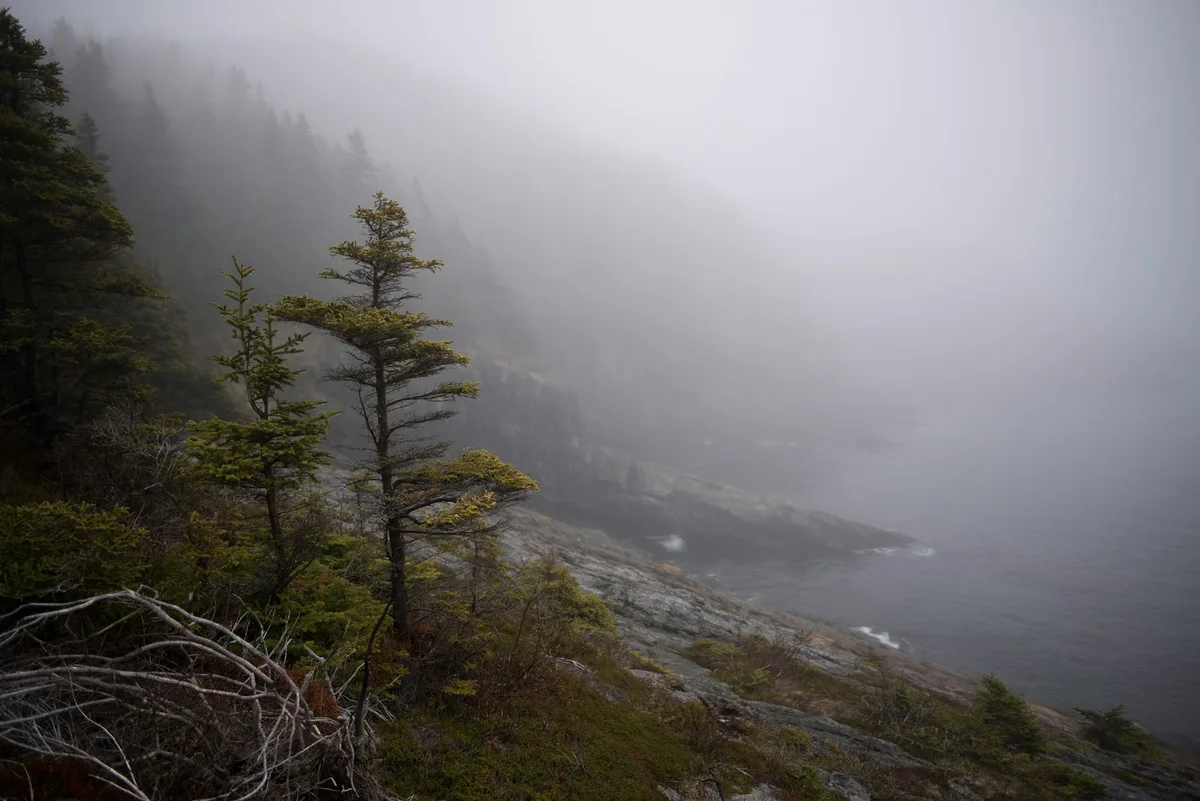 East Coast Trail