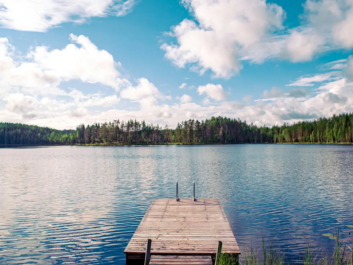 Finnish Sauna & Lake Experience