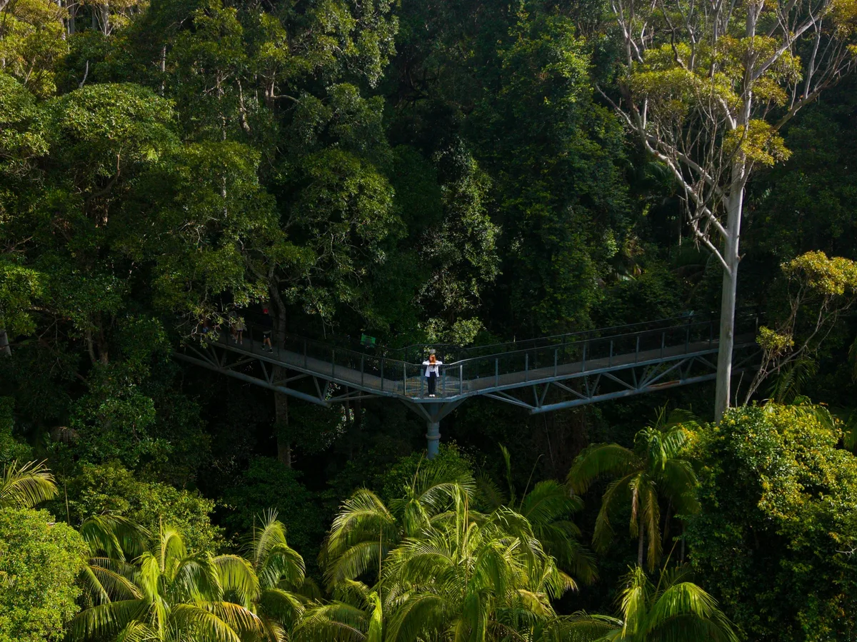 Kakum National Park Canopy Walk