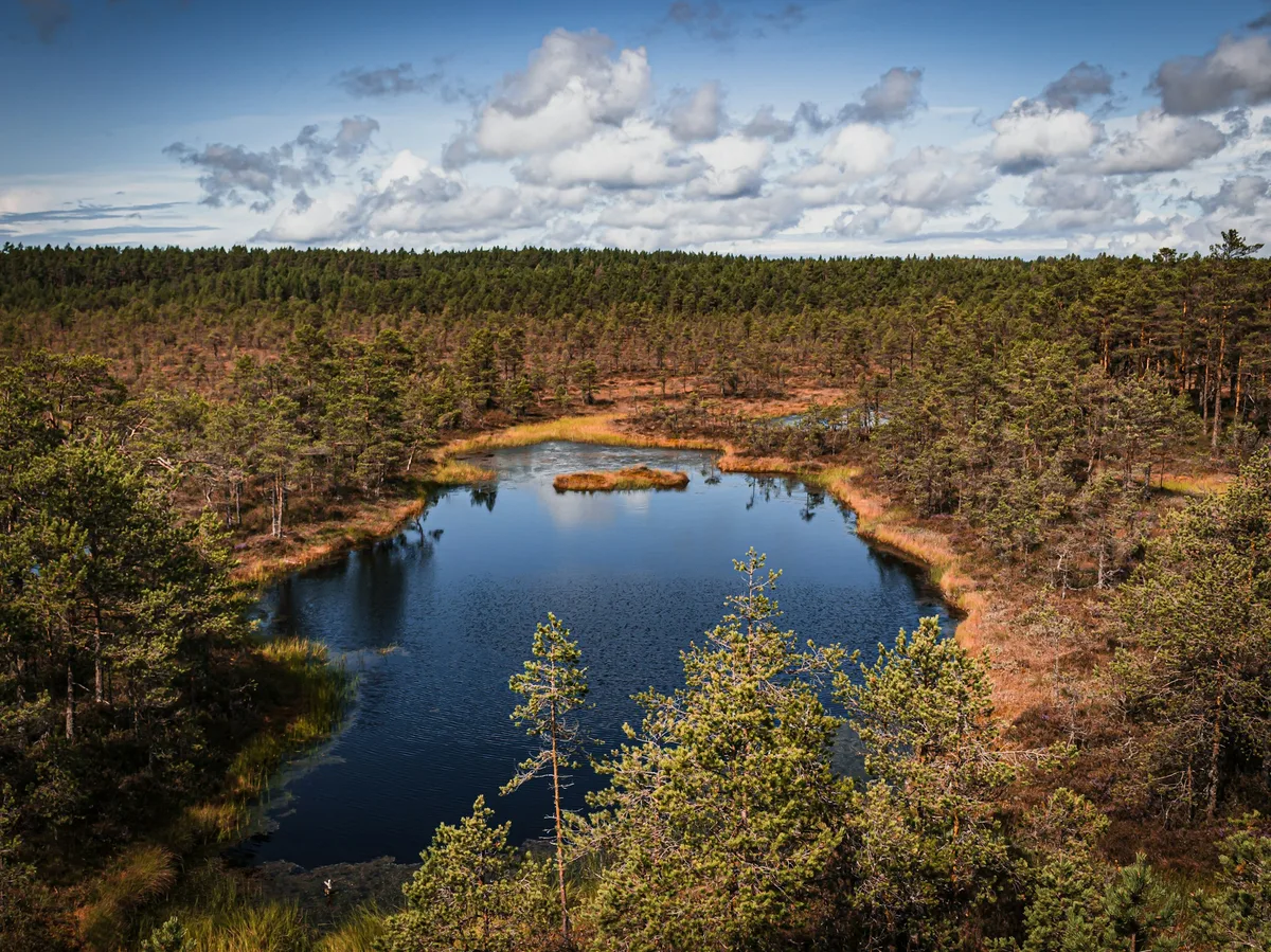 Lahemaa National Park