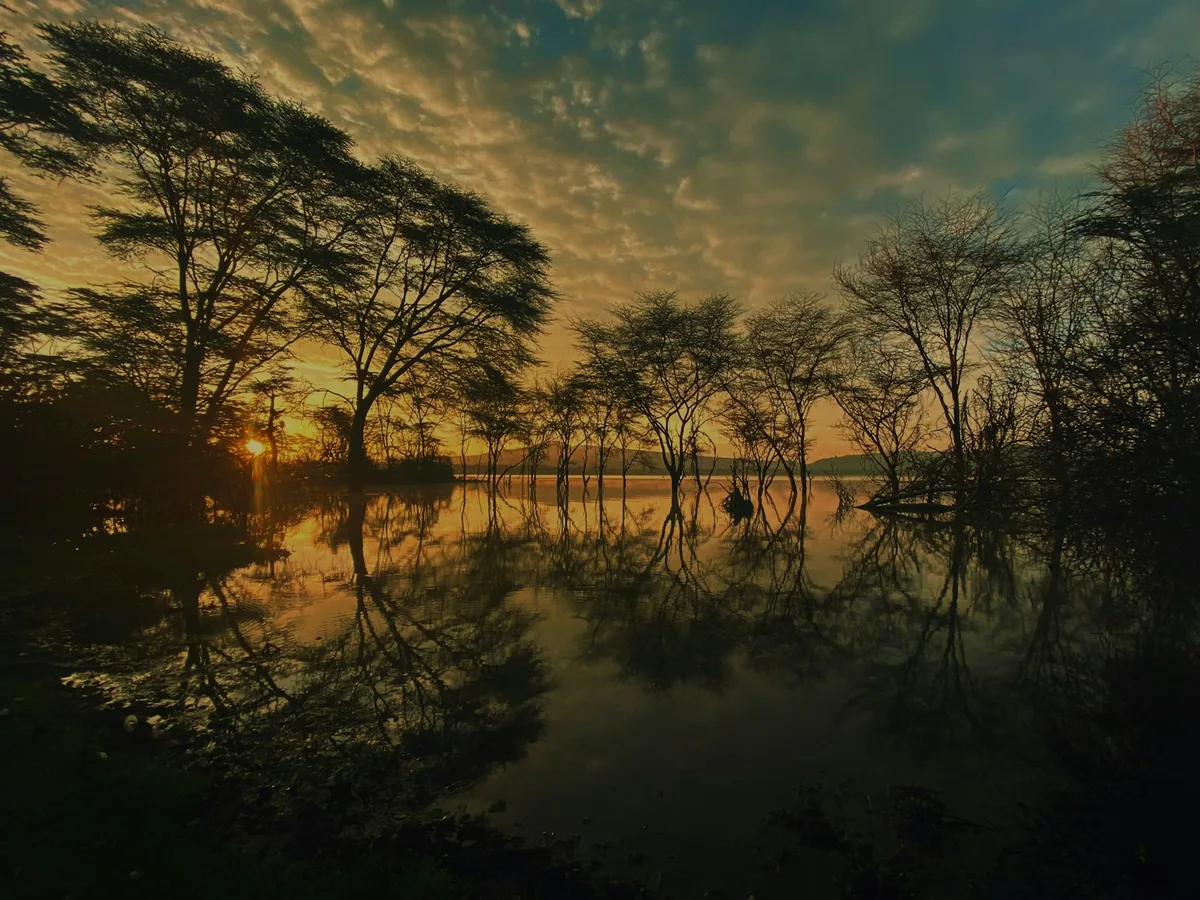 Lake Naivasha