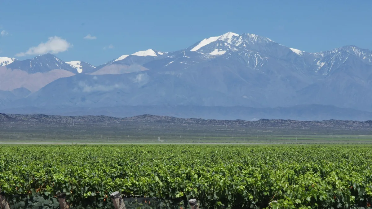 Mendoza Wine Region