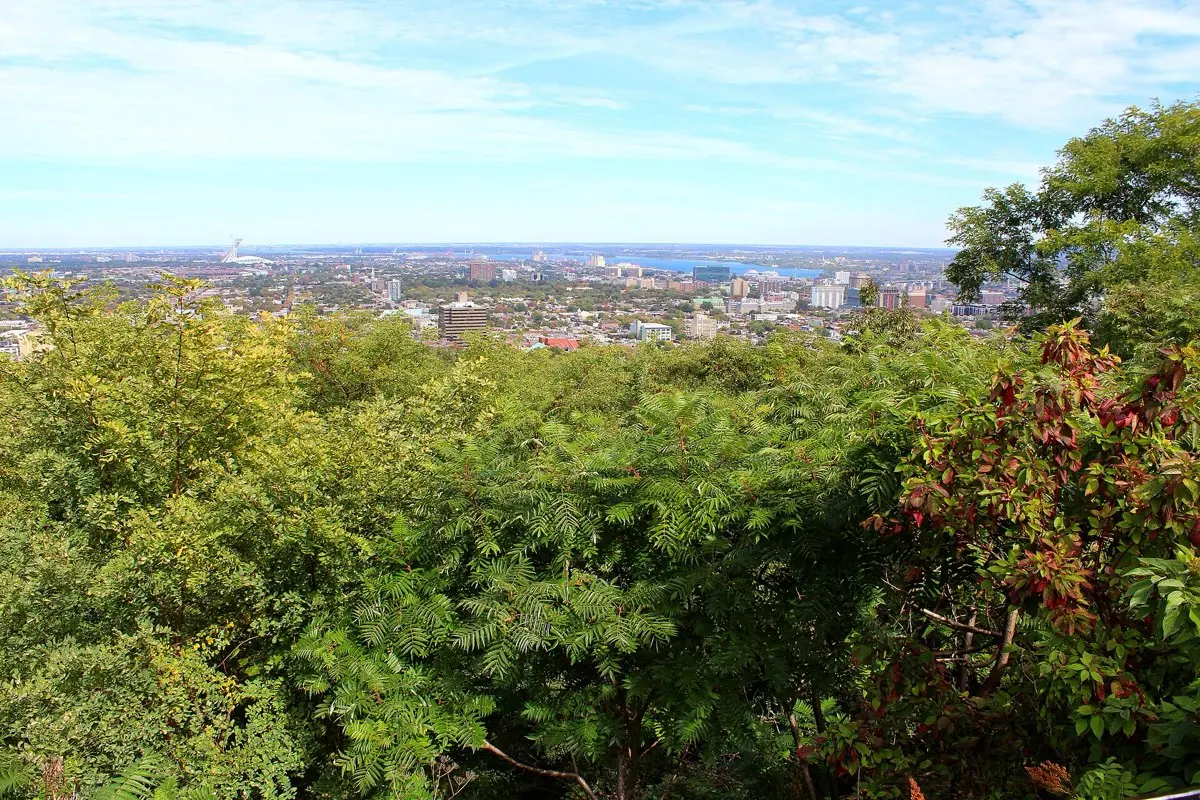 Mont Royal Lookout