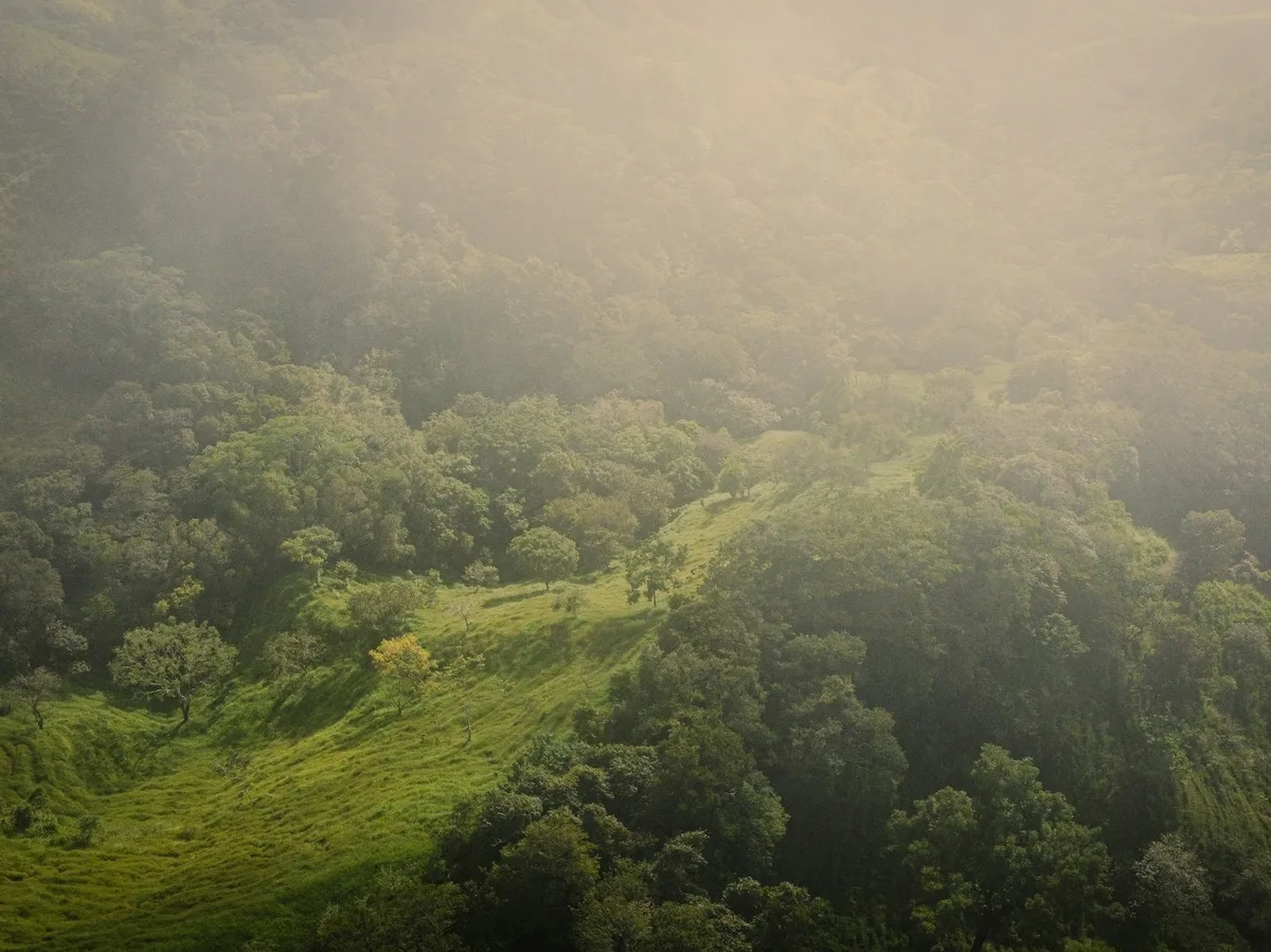 Monteverde Cloud Forest Reserve