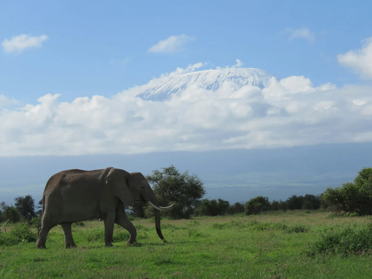 Mount Kilimanjaro