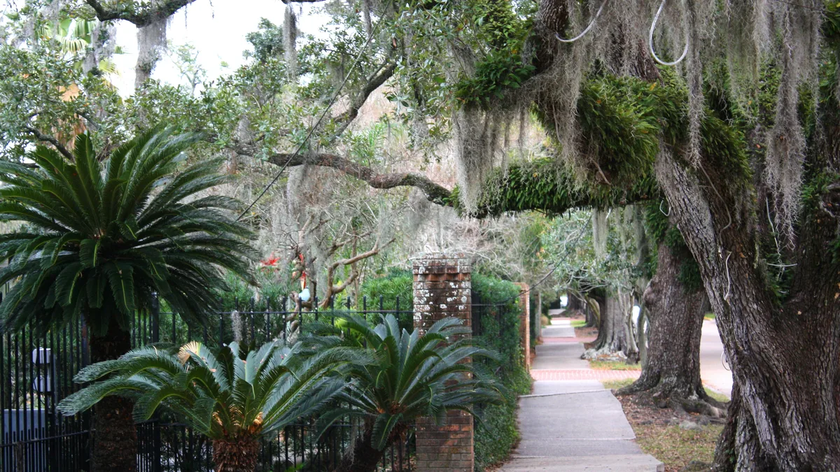 New Orleans City Park
