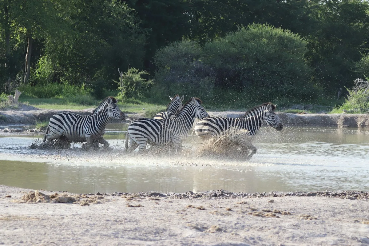 Nxai Pan National Park