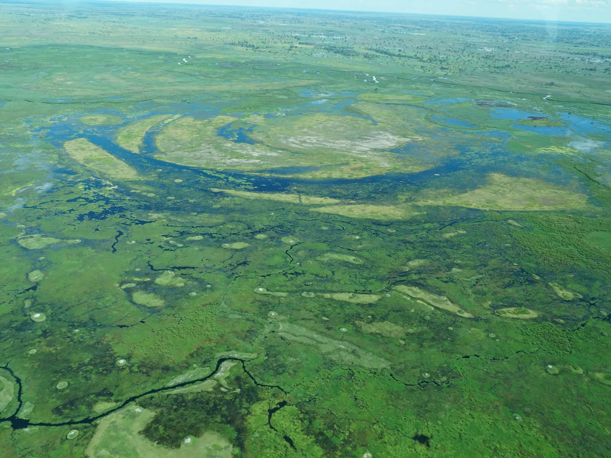 Okavango Delta