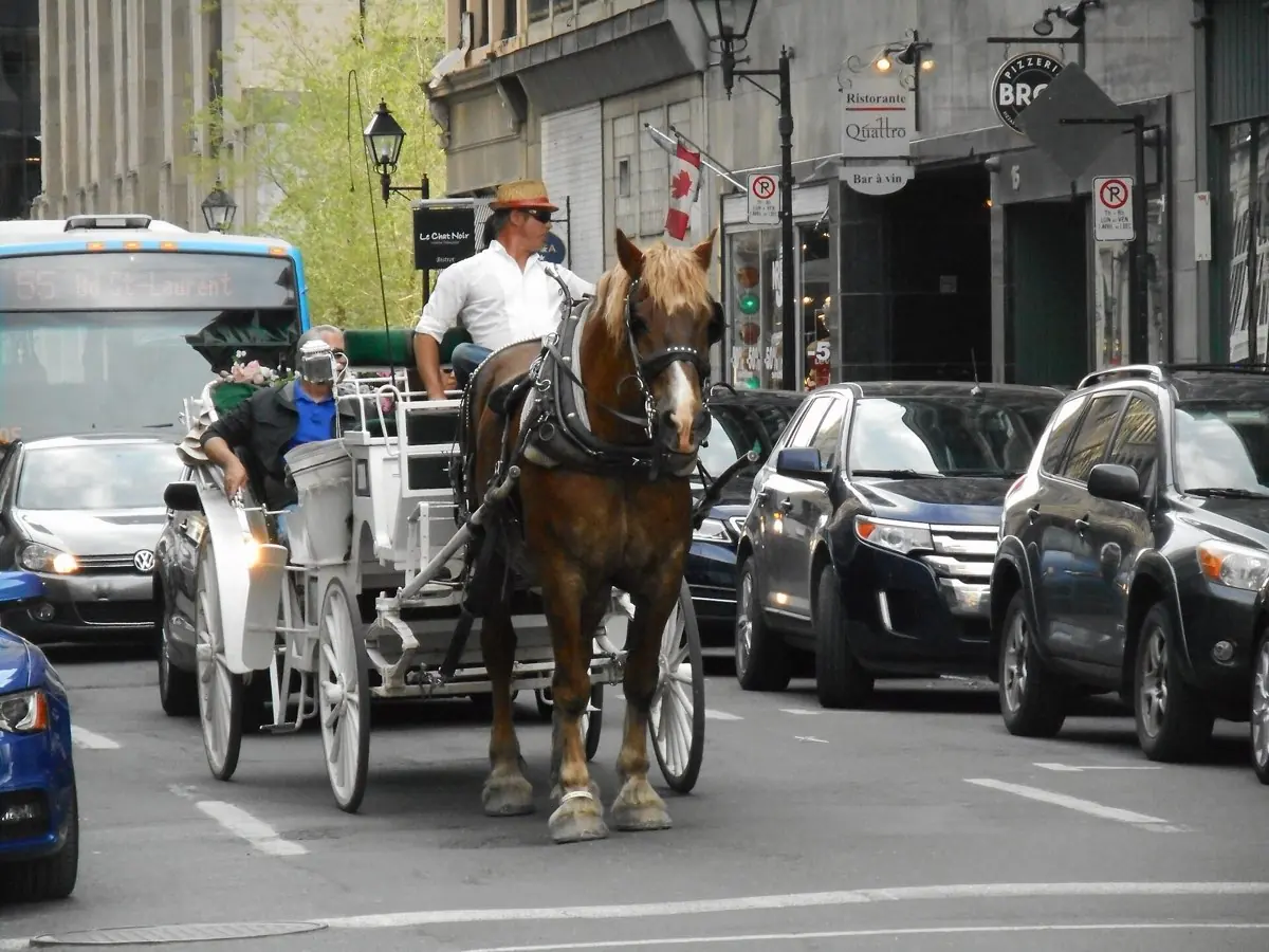Old Montreal