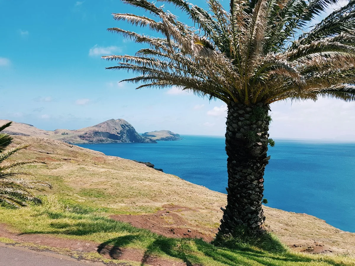 Ponta de São Lourenço