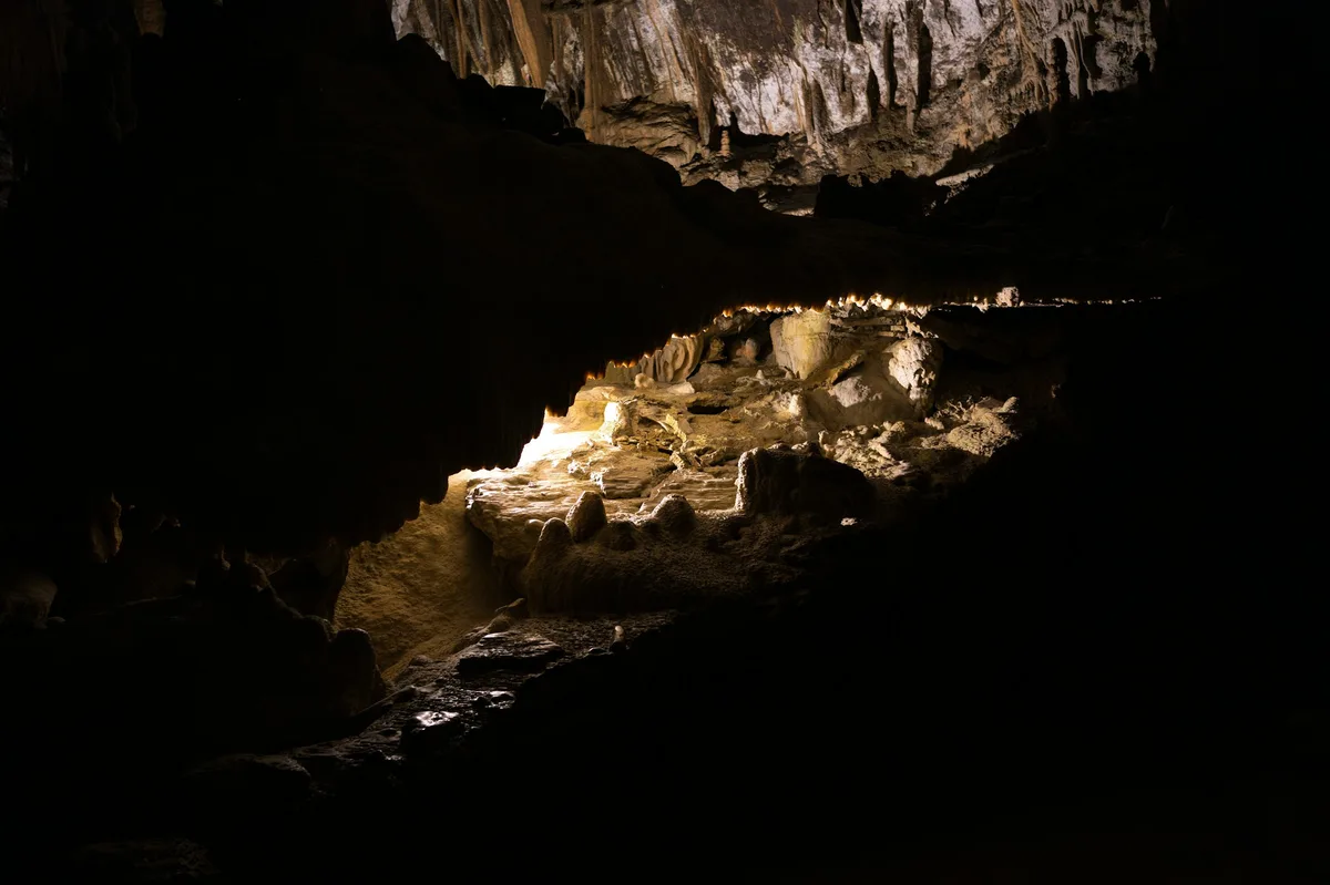 Postojna Cave