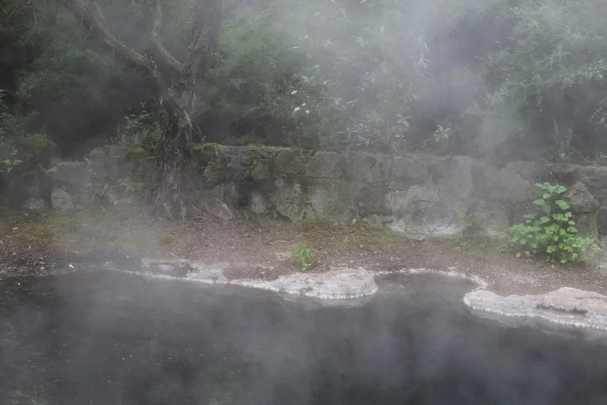 Rotorua's Geothermal Fields