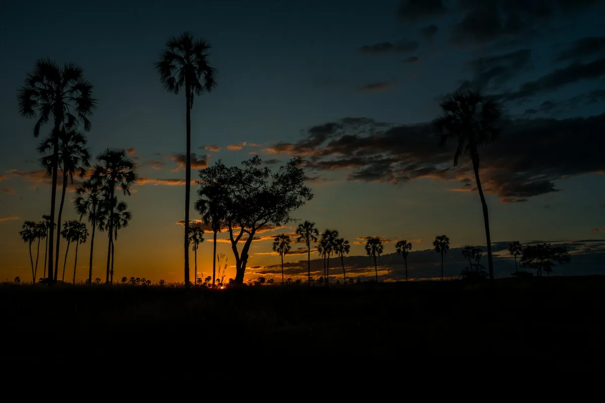 Ruaha National Park