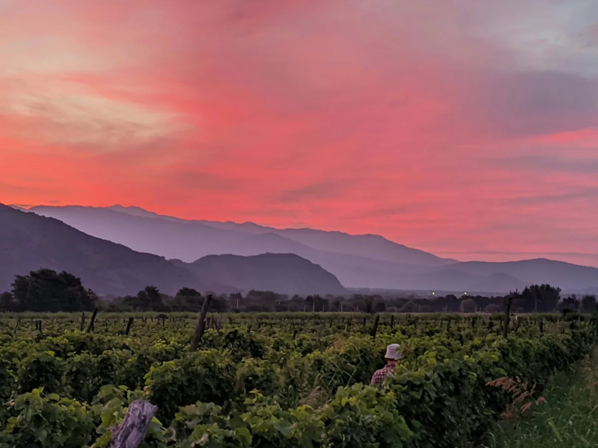 Sighnaghi & the Kakheti Wine Region