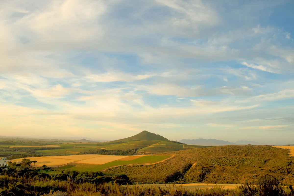 Stellenbosch Winelands