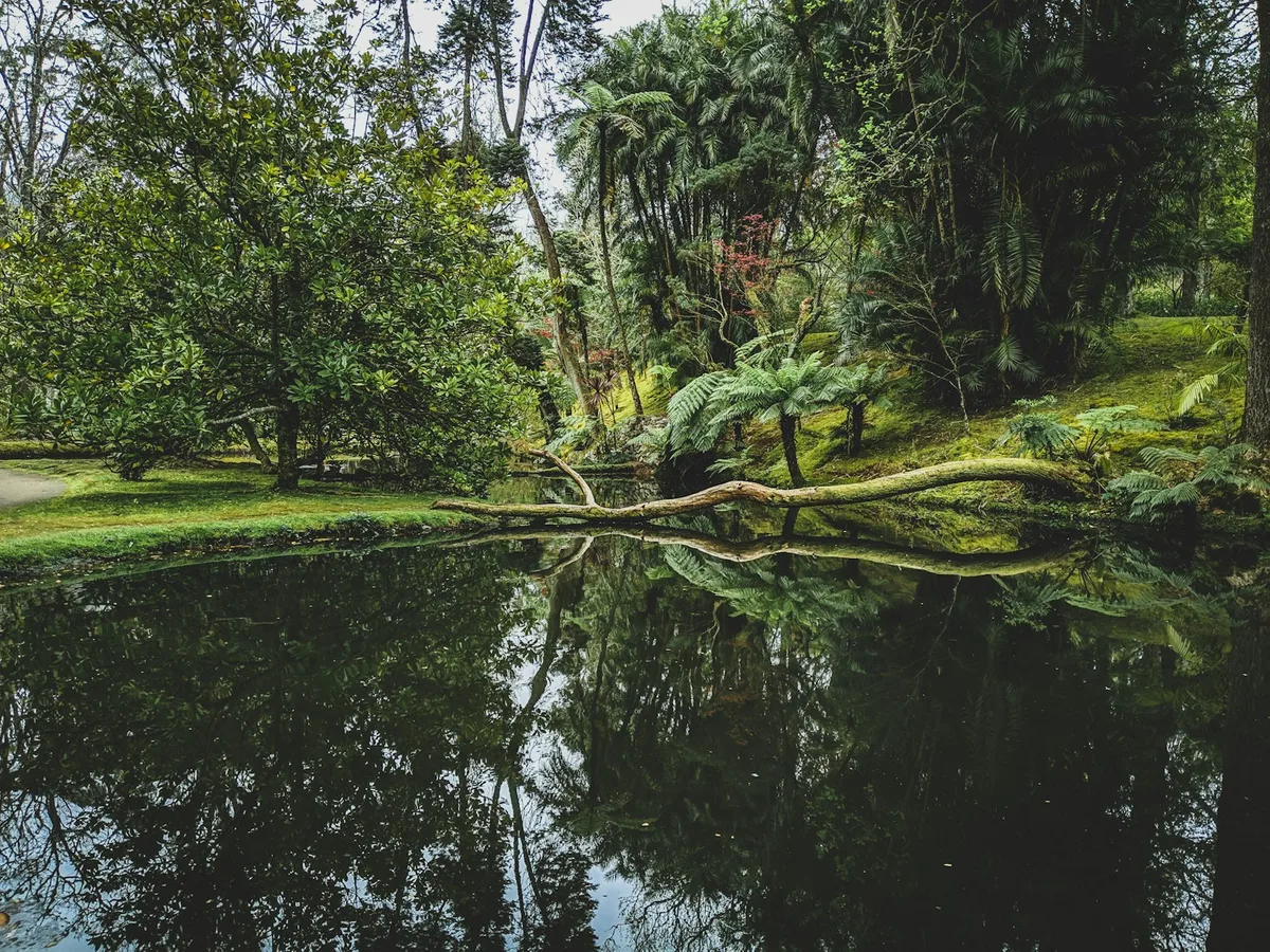 Terra Nostra Park, Furnas