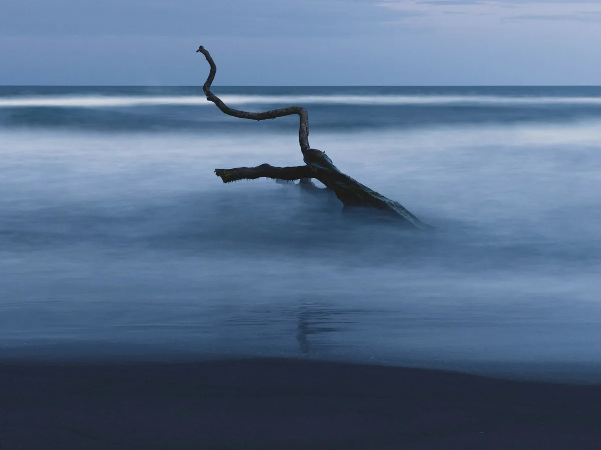 Tortuguero National Park