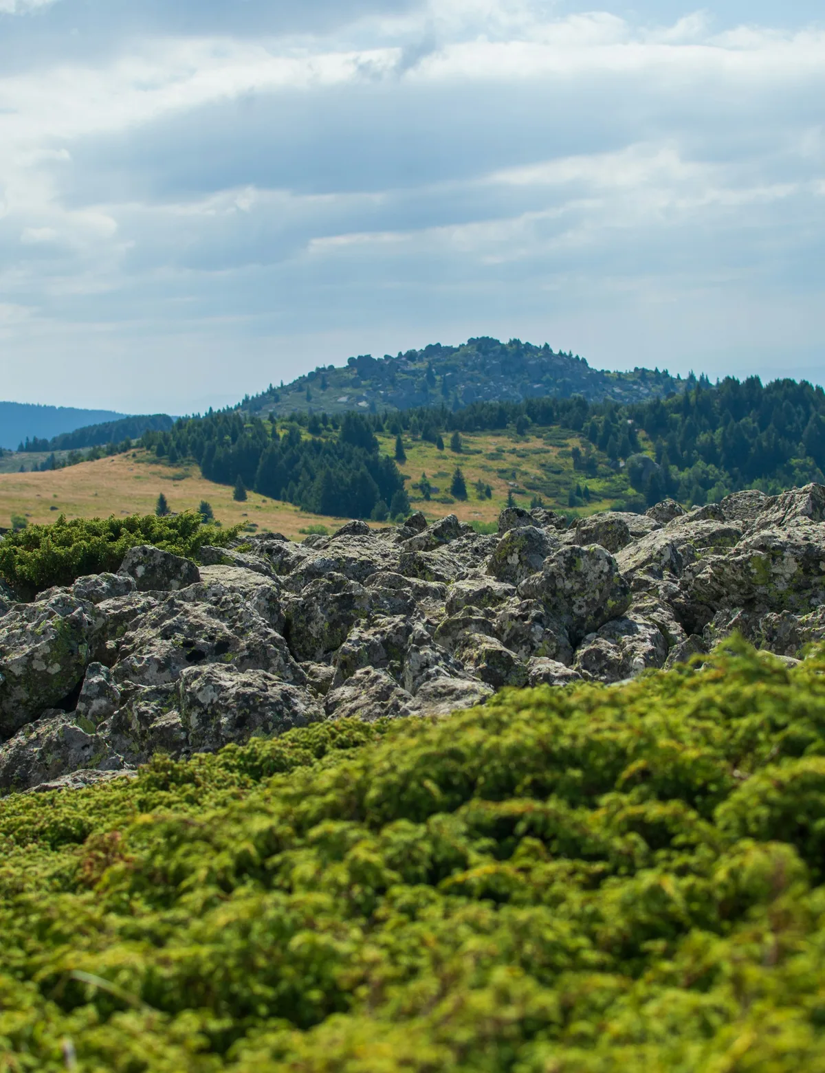 Vitosha Mountain