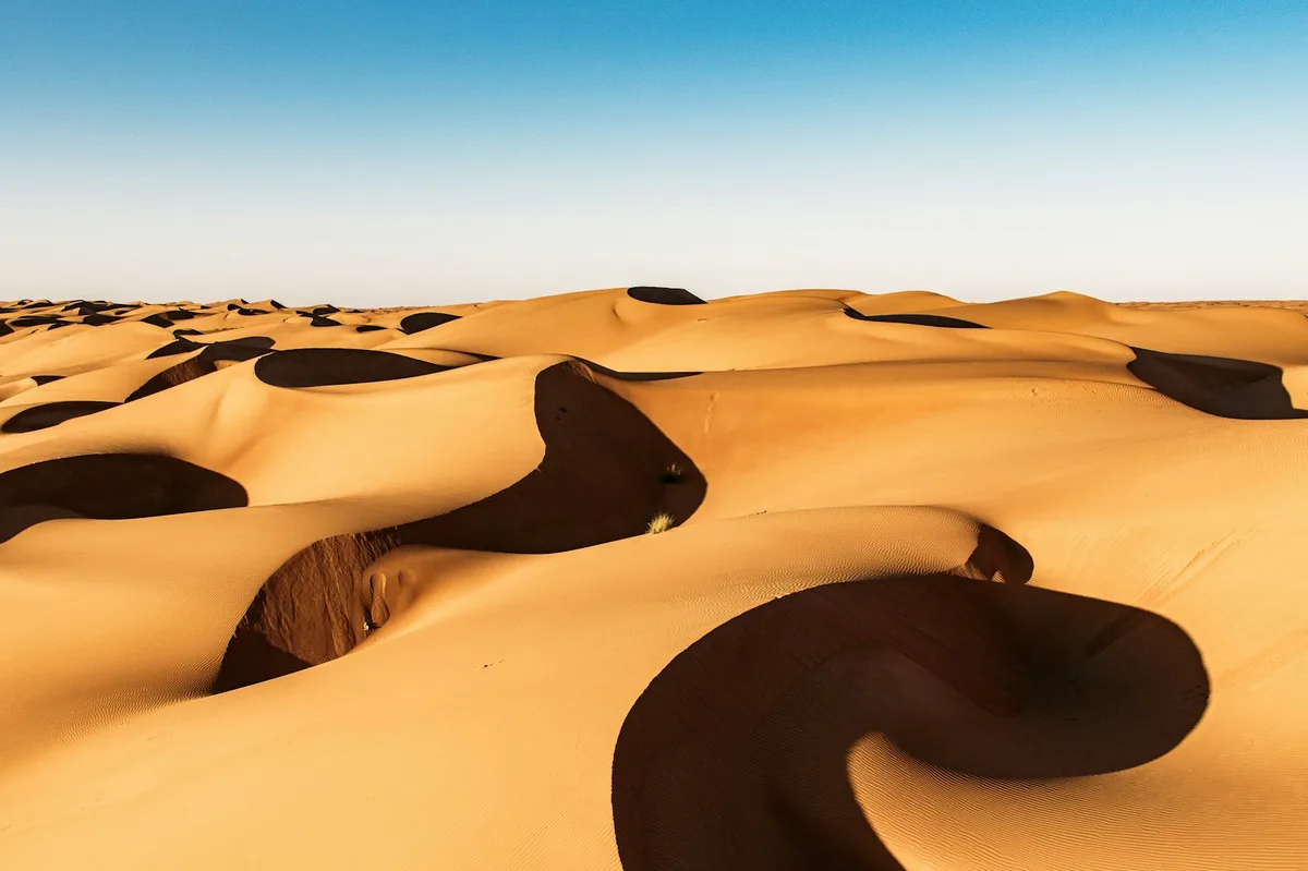 Wahiba Sands