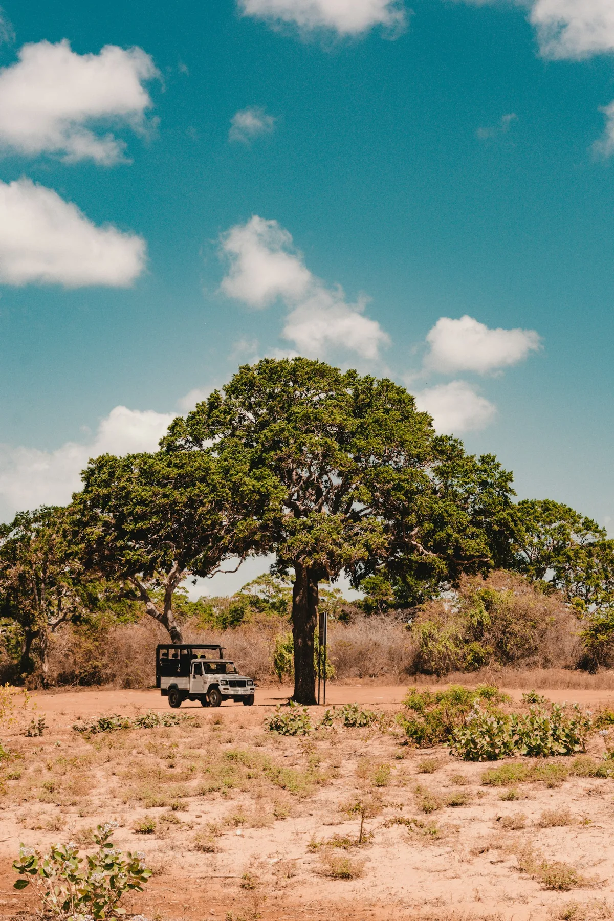 Yala National Park