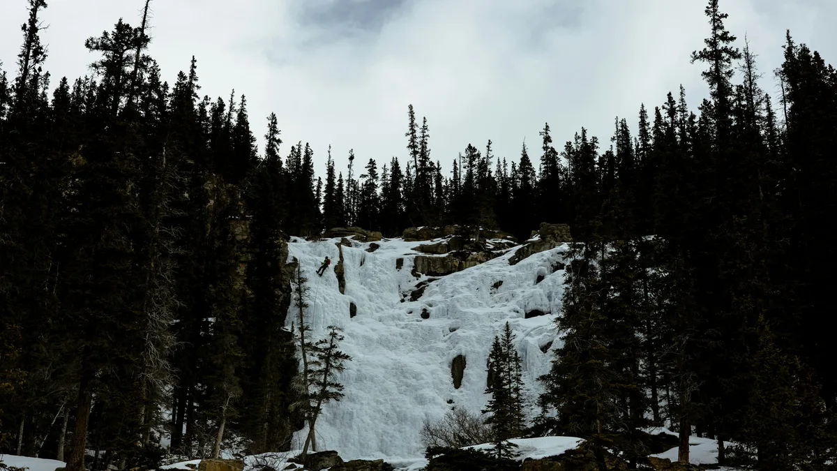 A frozen waterfall cascading through a snowy evergreen forest in the Canadian Rockies