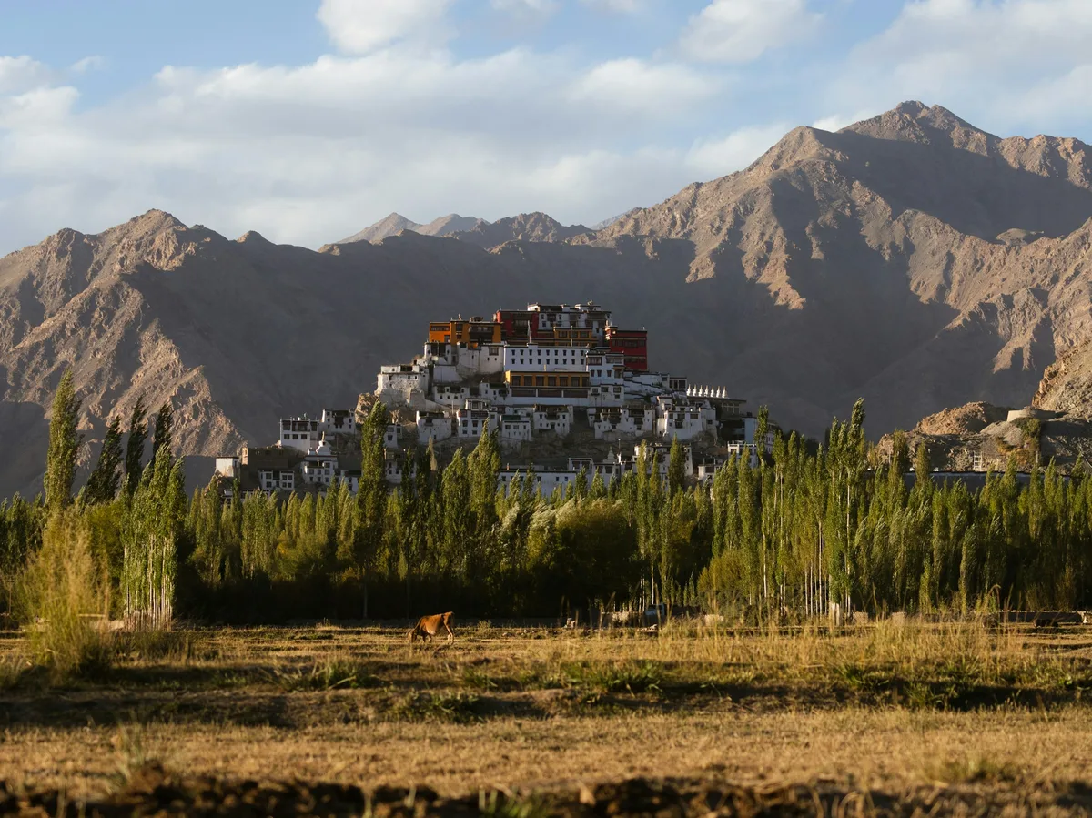 A monastery nestled among trees and open fields in a Bhutanese mountain valley