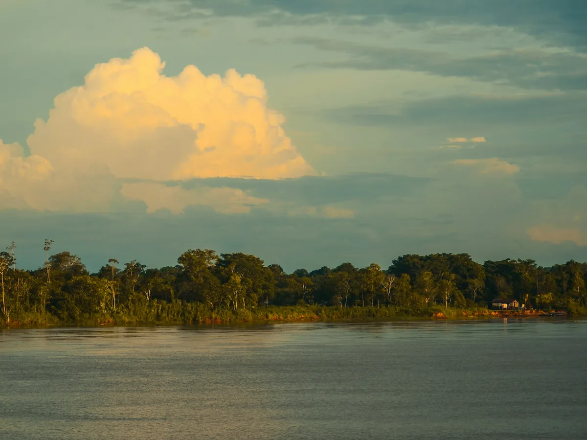 A river winding through the lush lowland rainforest of the Bolivian Amazon
