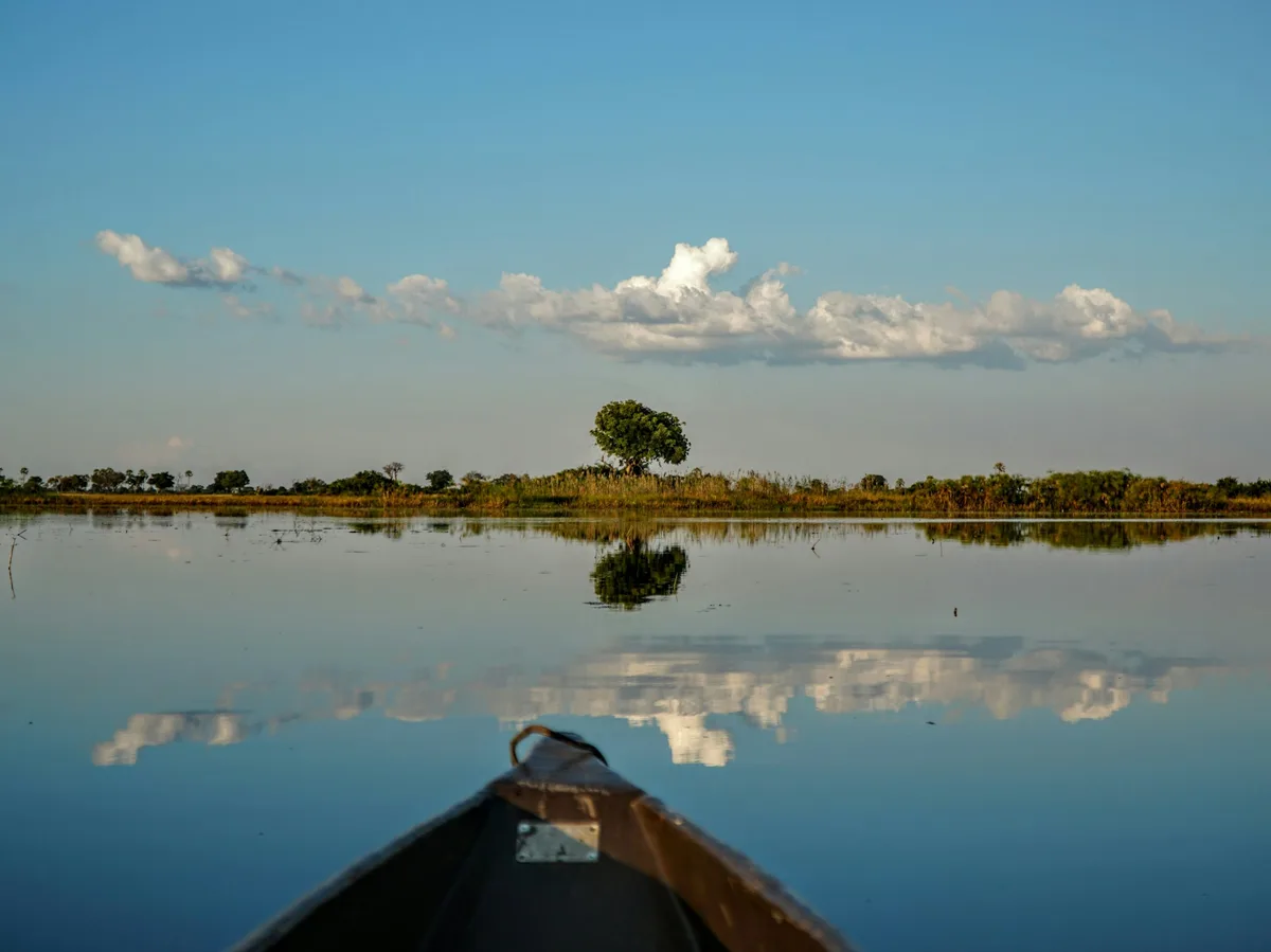 Small motorboat gliding through the reed-lined channels of the Okavango Panhandle