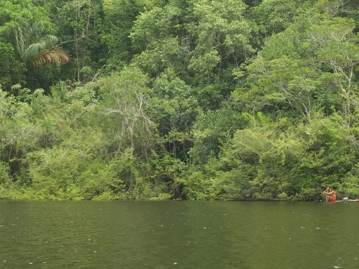 A canoe navigating a quiet Amazon river
