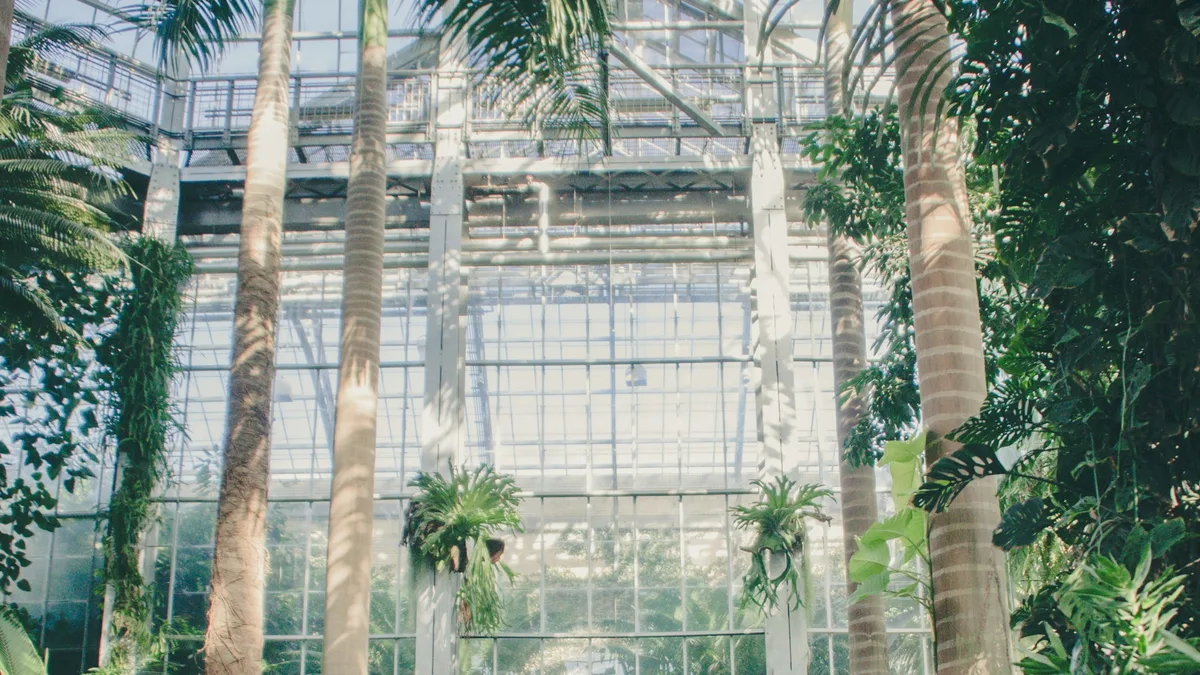 A lush indoor conservatory filled with tropical plants