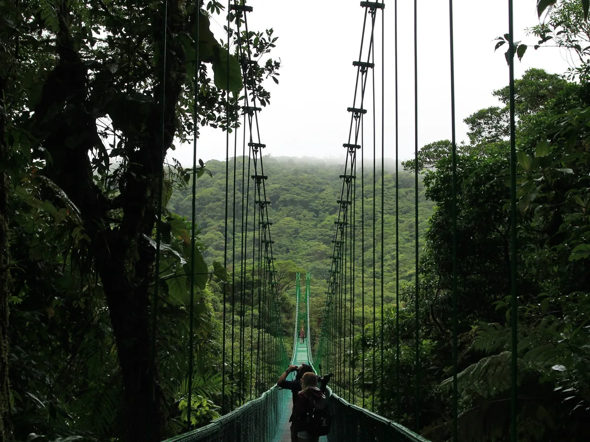 Visitors crossing a suspension hanging bridge through the rainforest canopy near La Fortuna, Costa Rica