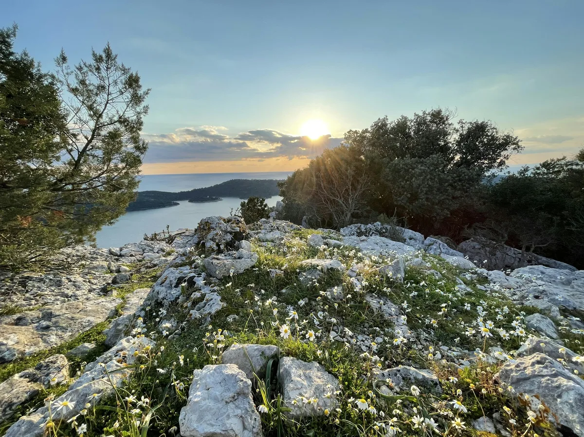 A quiet saltwater lake surrounded by pine forest in Mljet National Park, Croatia