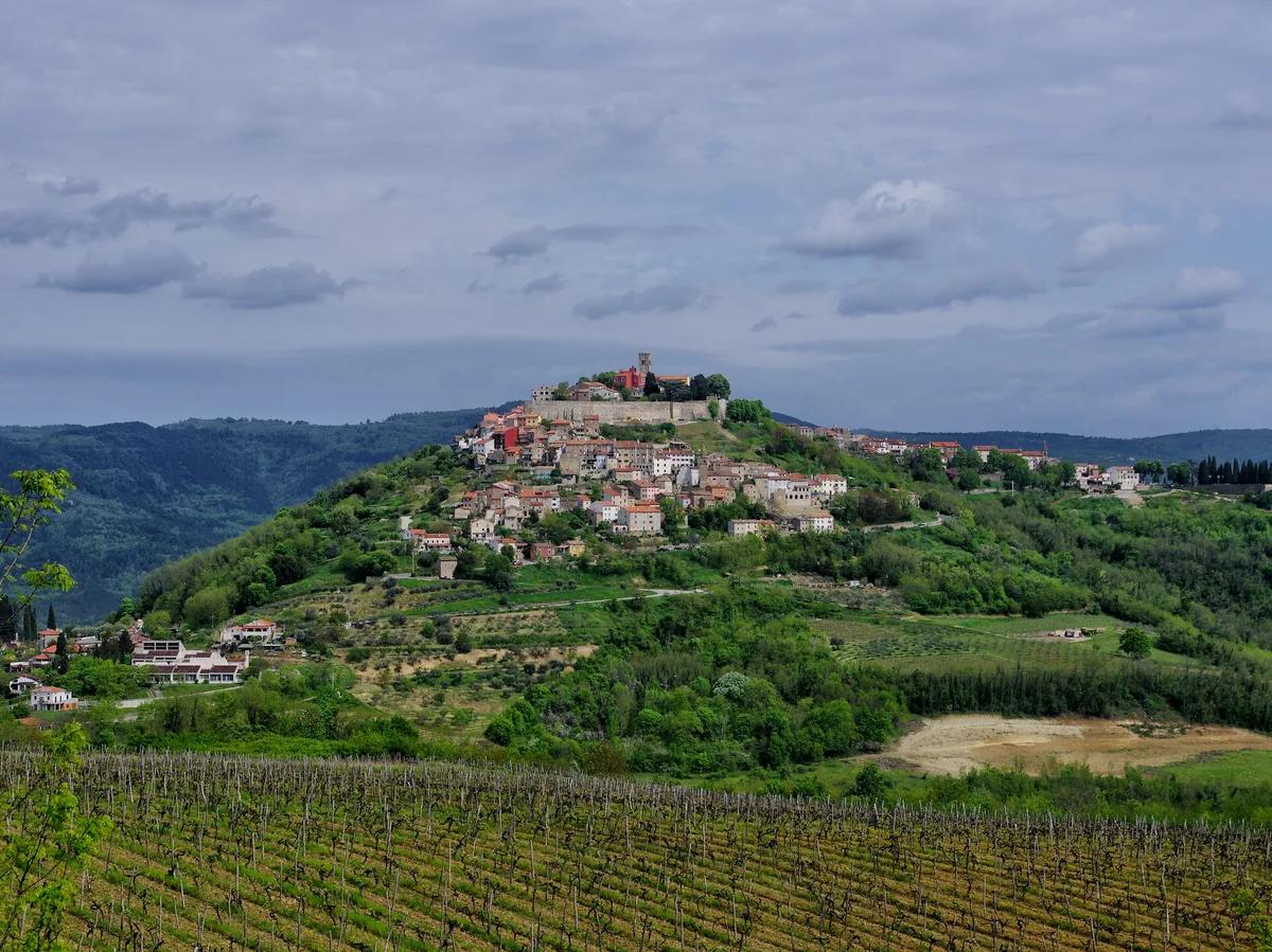 A hilltop village surrounded by vineyards in the Istria wine region of Croatia