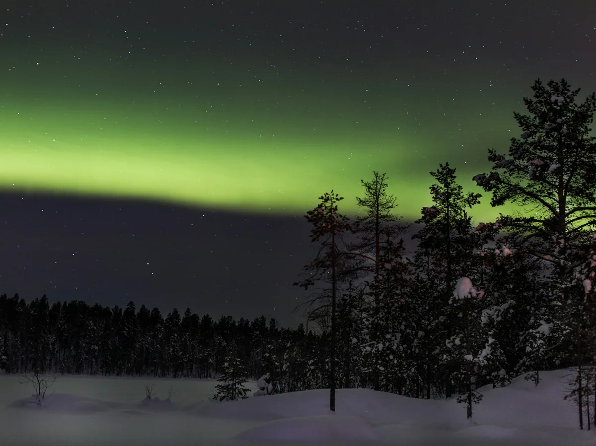 The Northern Lights glowing green over a snow-covered forest in Inari, Finland