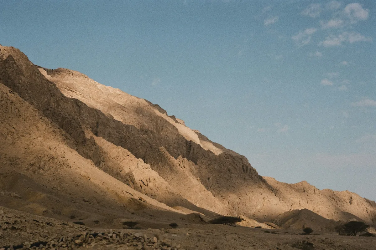 Al Ain City Tour: Oasis, Heritage & Landscapes — photo 3