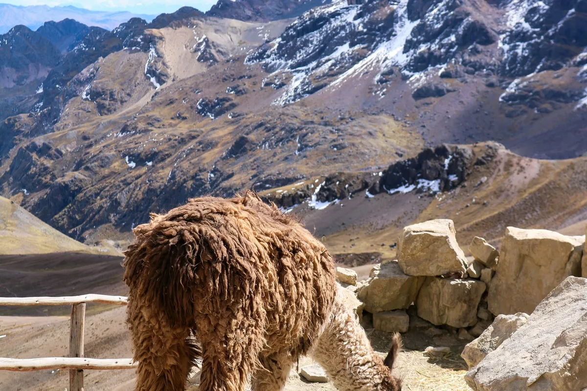7 days in Peru: Machu Picchu & Inca Trail adventure — photo 2