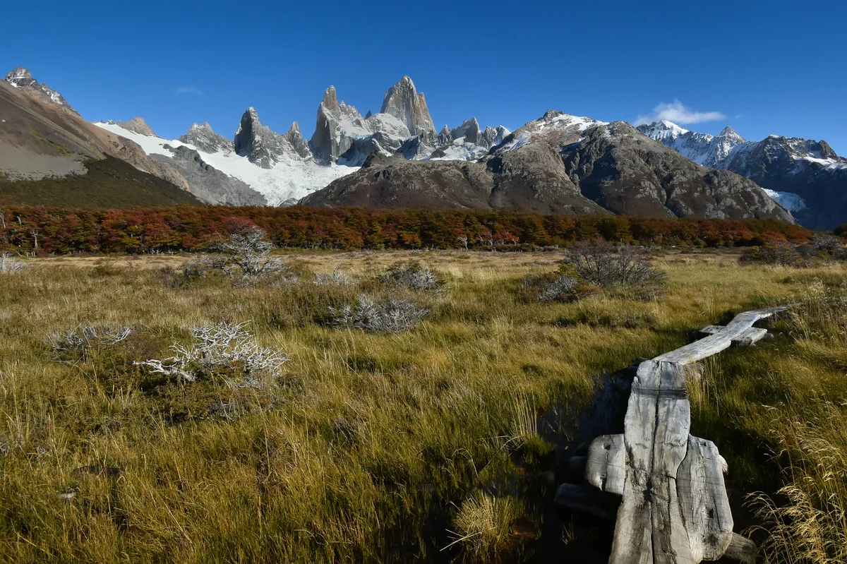 Experience Argentina's Gaucho Way of Life — photo 4