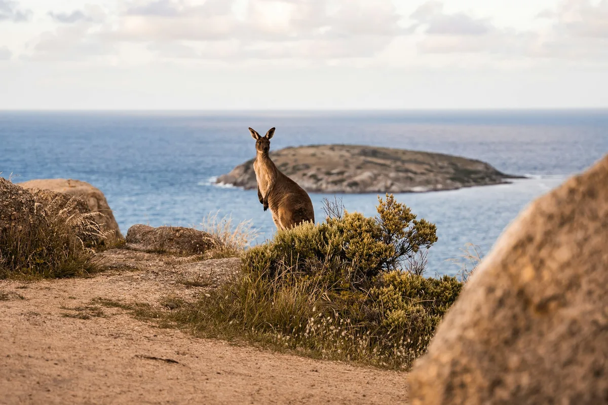 Australian Icons: Culture, Reef & Outback — photo 3