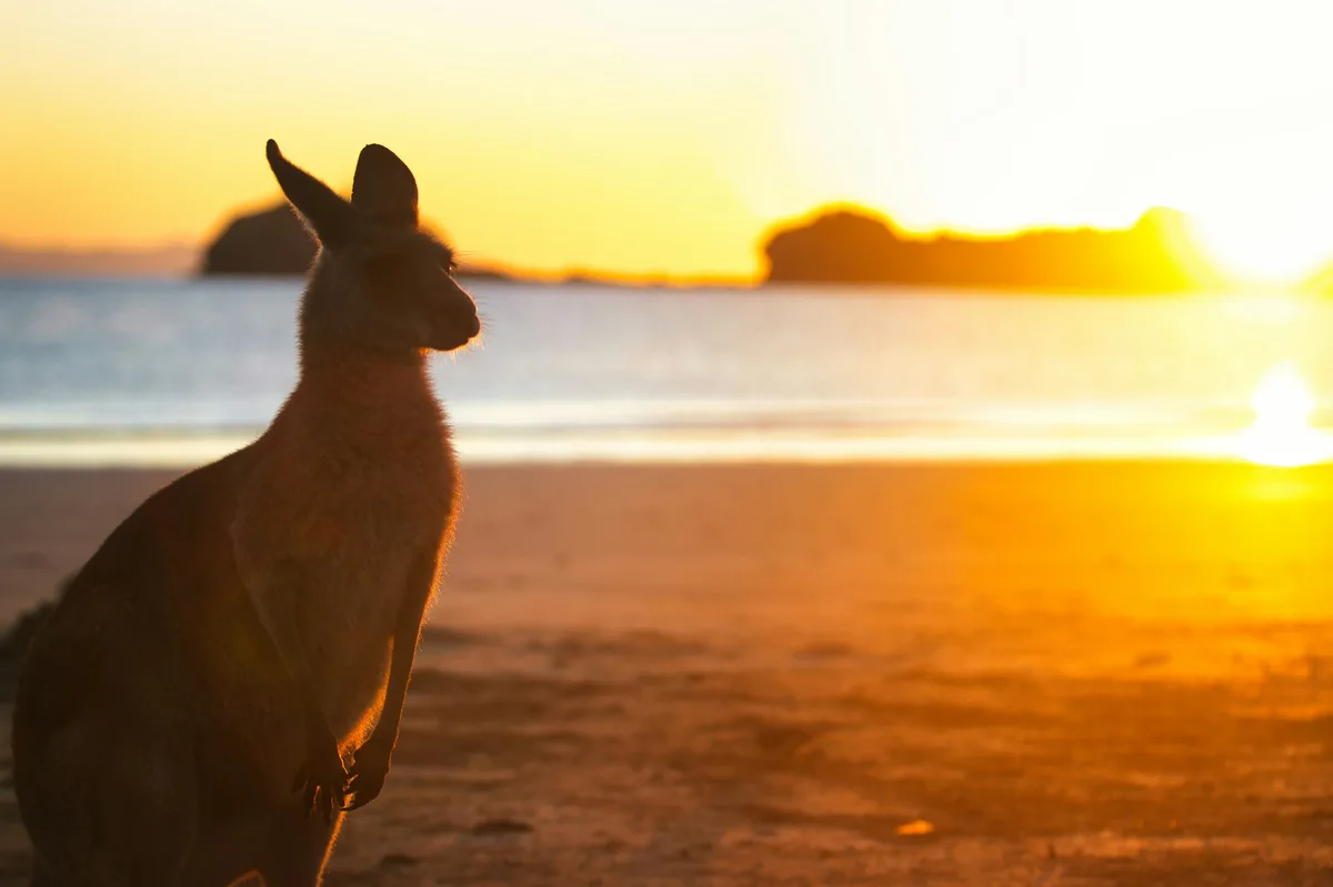 The Complete Australia Adventure — photo 4