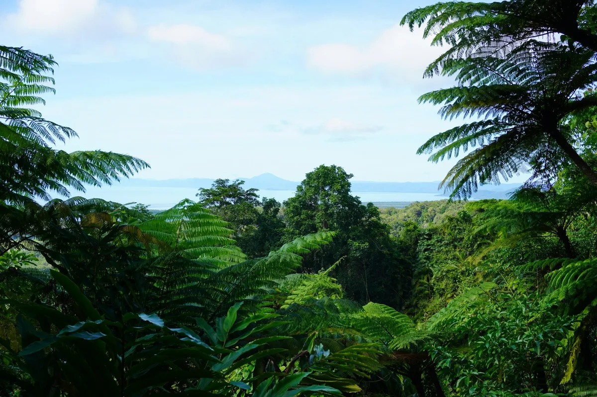 Australian Icons: Culture, Reef & Outback — photo 1