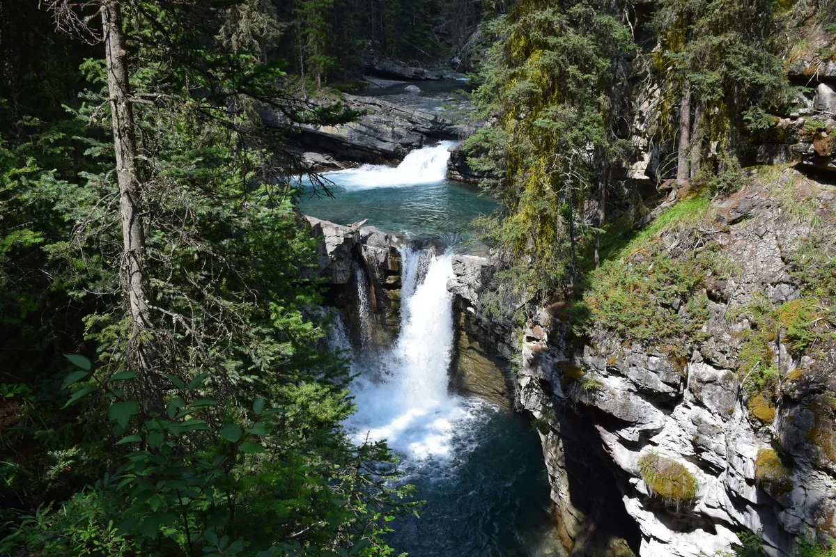 Banff National Park Private Tour from Canmore — photo 3